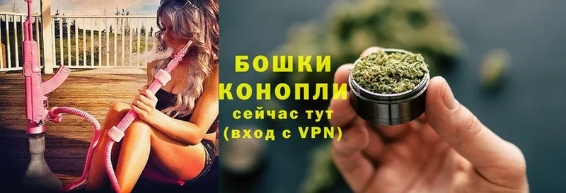 сколько стоит  Искитим  Бошки Шишки OG Kush 